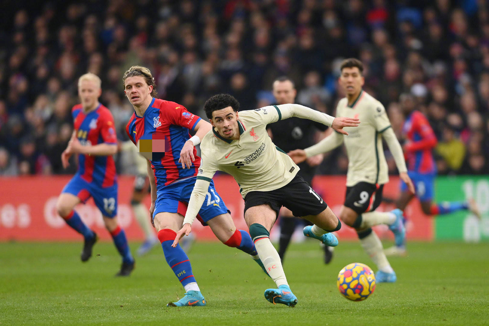 一支能给予 一支能给予